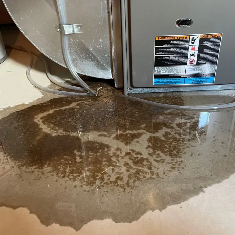 Pipe Burst and Leak Restoration in Palos Park, IL